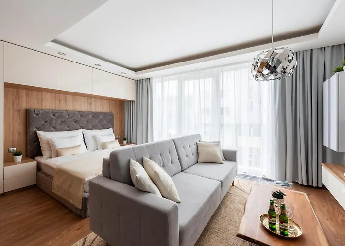 Luxury & Air-Conditioned Osko Apartment Near The City Center
