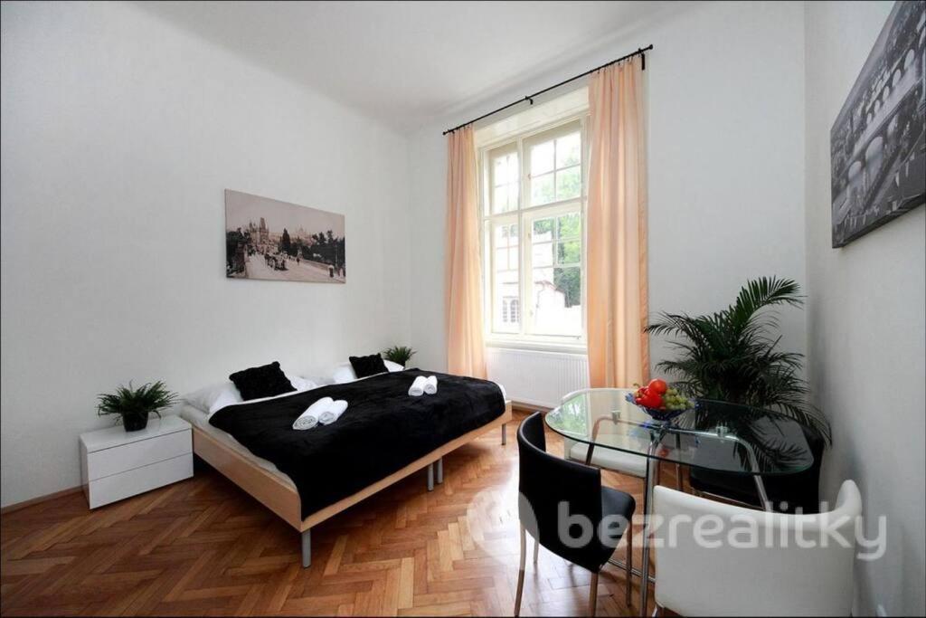 Peaceful Couple / Old Town / Jewish Quarter Apartment Prag