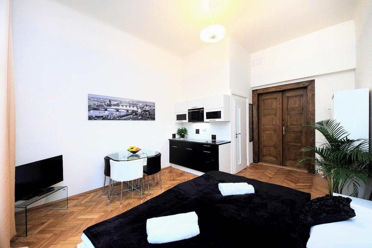 Peaceful Couple / Old Town / Jewish Quarter Apartment Prag