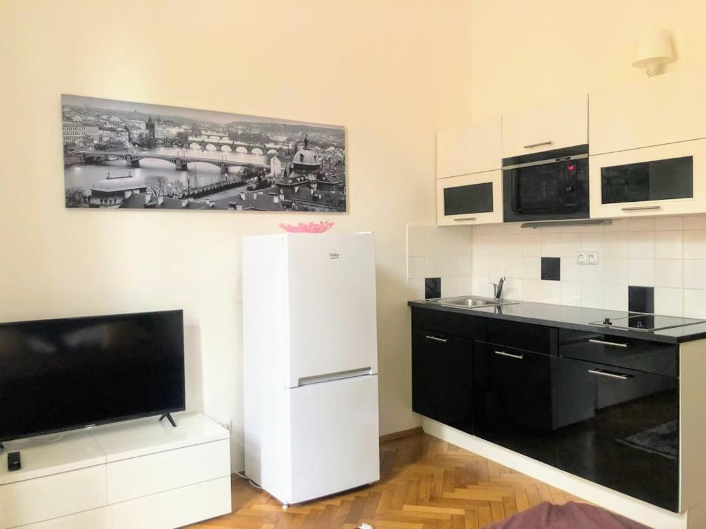Peaceful Couple / Old Town / Jewish Quarter Apartment Prag