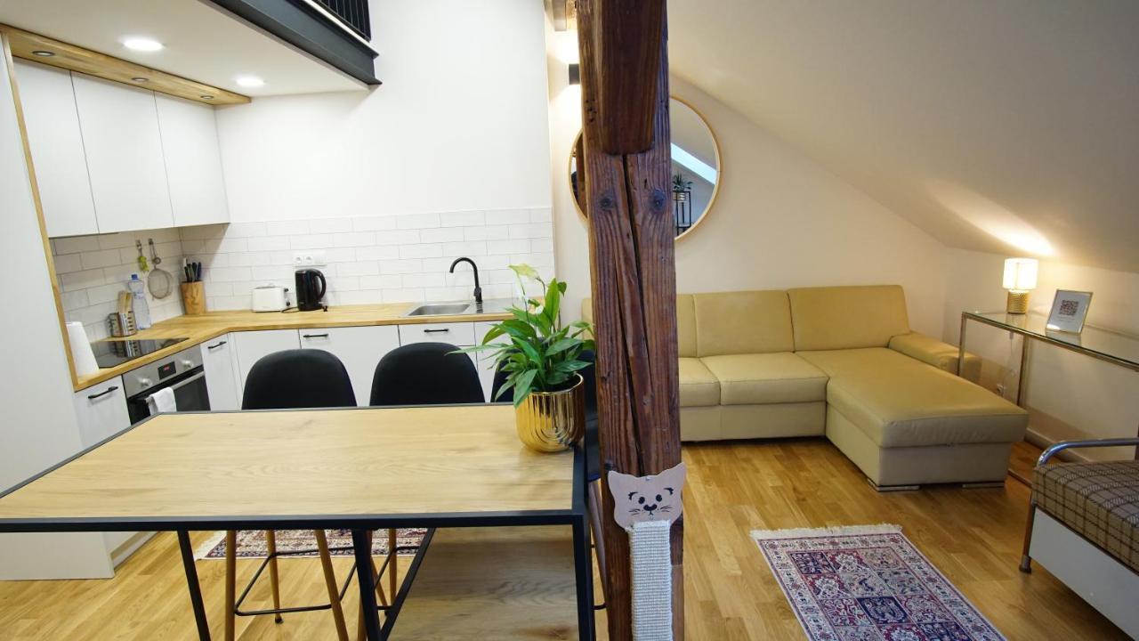 Apartment Rooftop No 22 - Center Art District Letna *