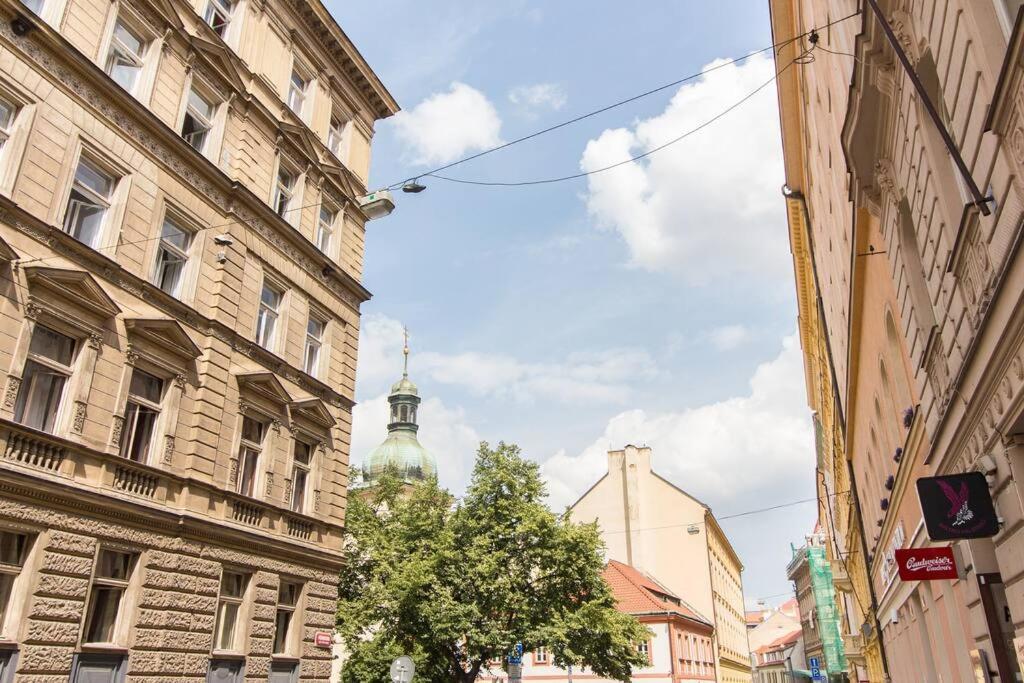 Apartment Studio In The Historic Center