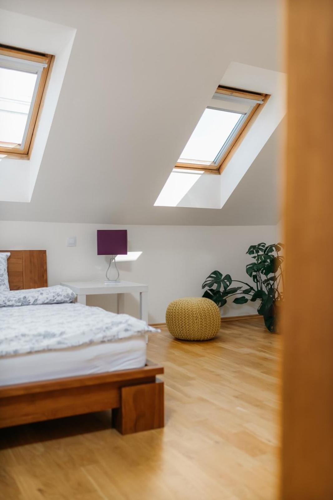 Eli Spacious With Old Town View, Parking & Ac Apartmán Praha