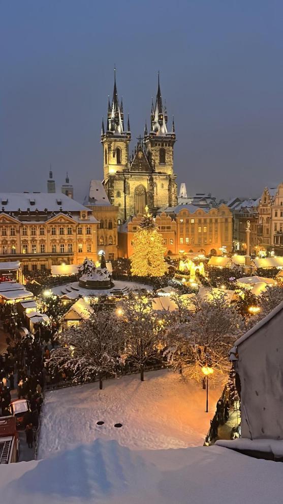 Apartmán U Zeleného Jalovce Praha