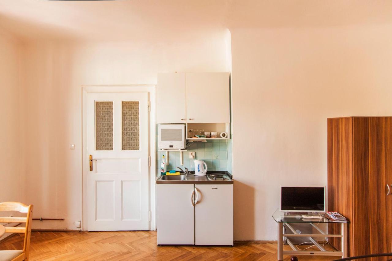 Apartment Vladislav Prague