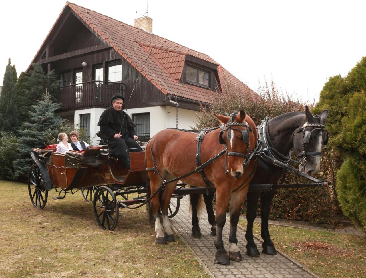 Conifer Idyllicprague Holiday home *