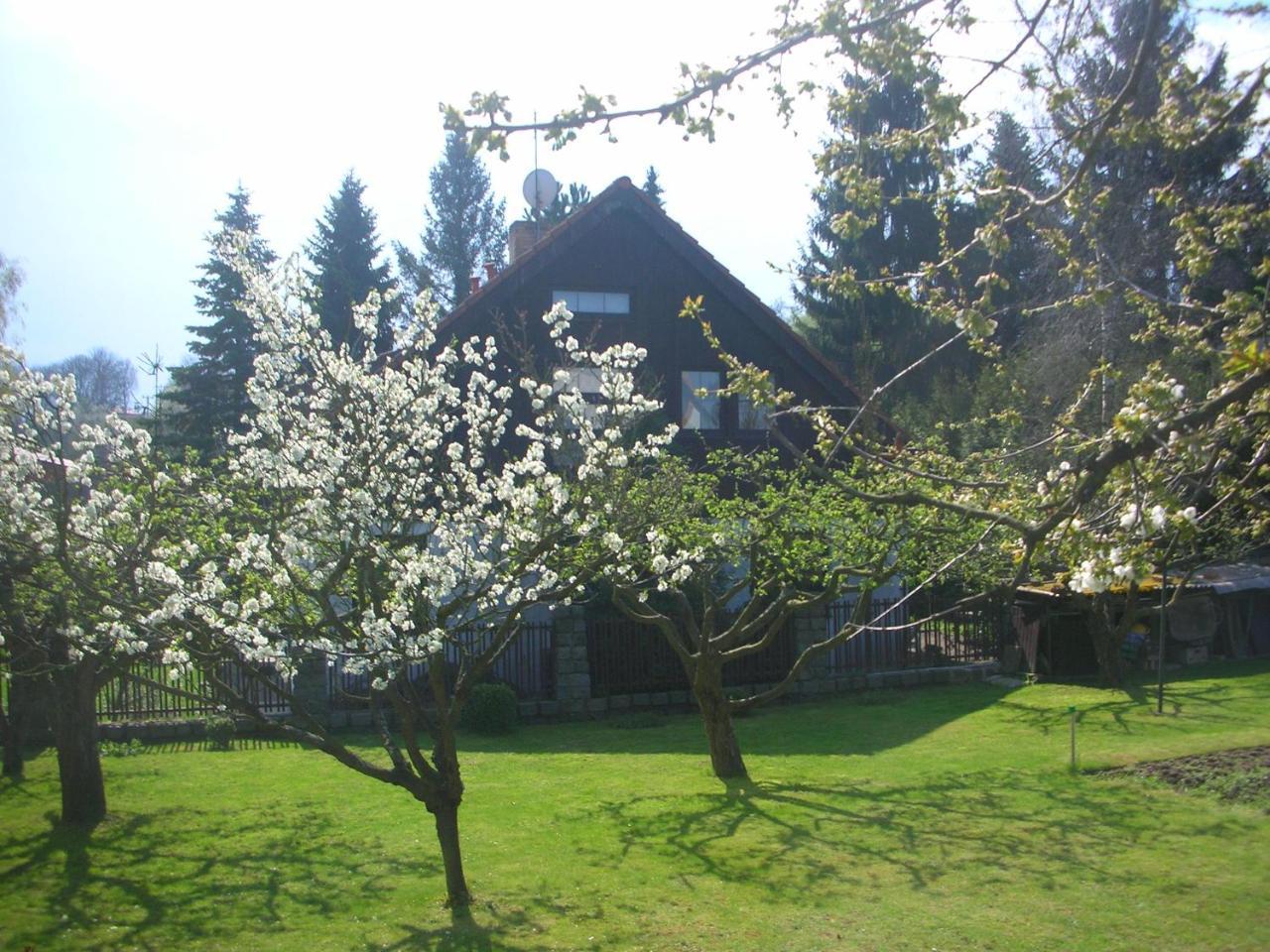 Conifer Idyllicprague Holiday home