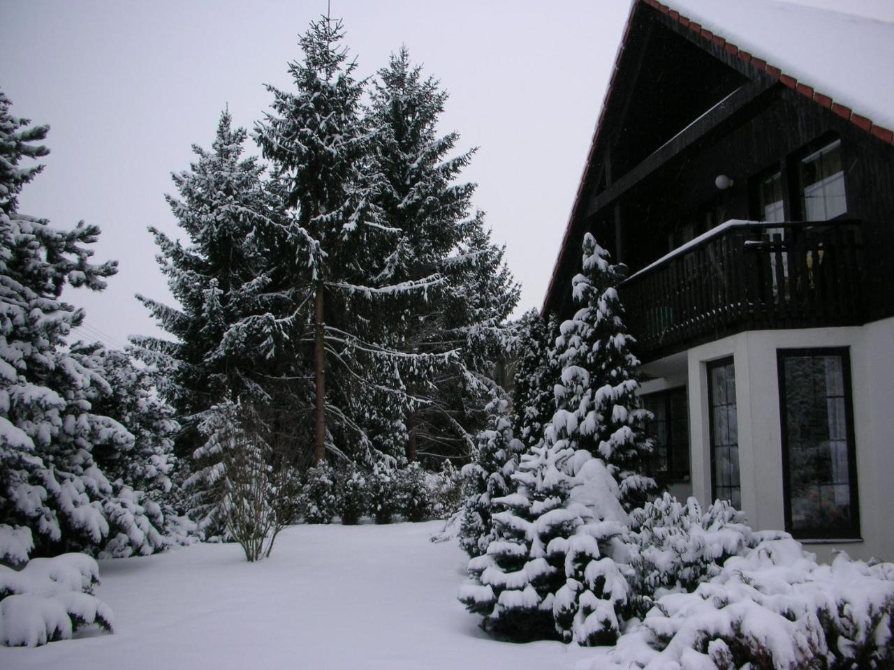 Holiday home Conifer Idyllicprague *