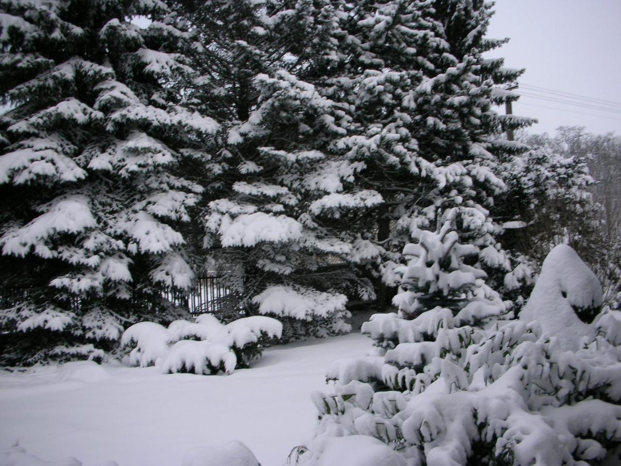 Holiday home Conifer Idyllicprague Prague