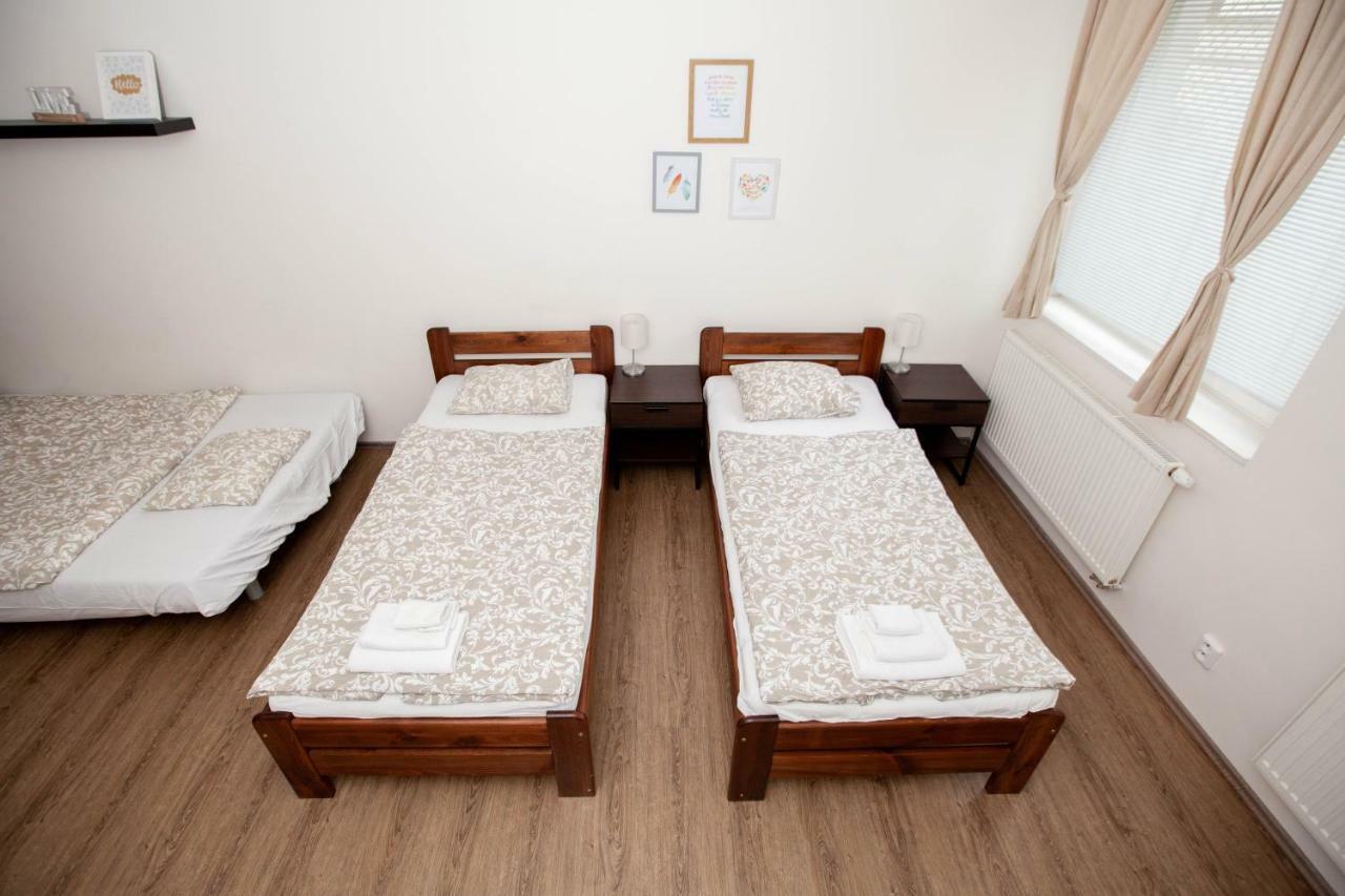 Zizkov Cosy Lägenhet *
