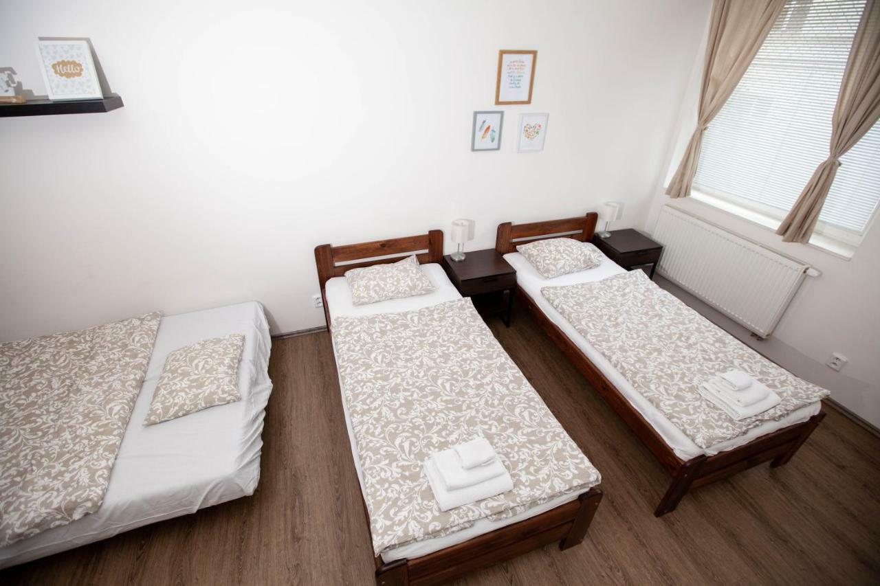 Zizkov Cosy Lägenhet *