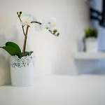 Cute Apartment - Promenade Of Prague