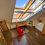 Guestrooms, Rooftop With Garden, Spacious Living Room, Character And Fireplace
