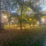 Utulny Prostorny Tichy Byt V Blizkosti Centra