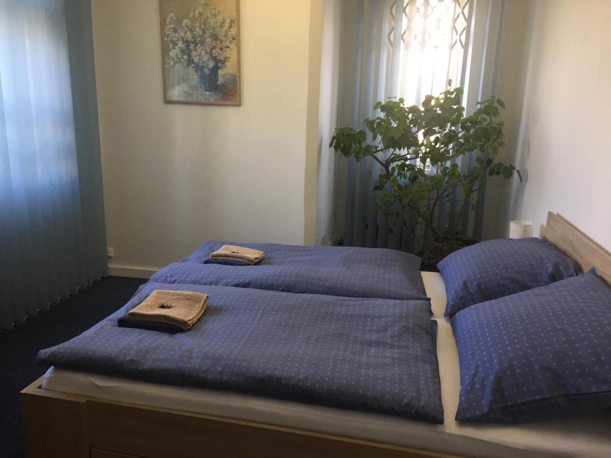 Blue In Beautiful Style Garden With Atmosphere Apartment *