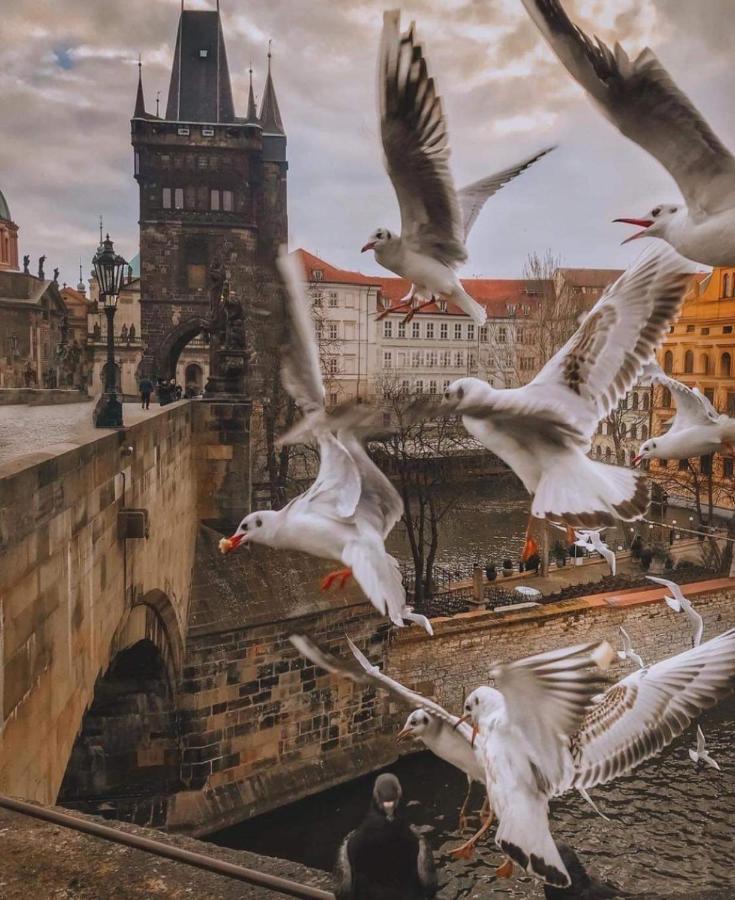 Lena Apartment Prag