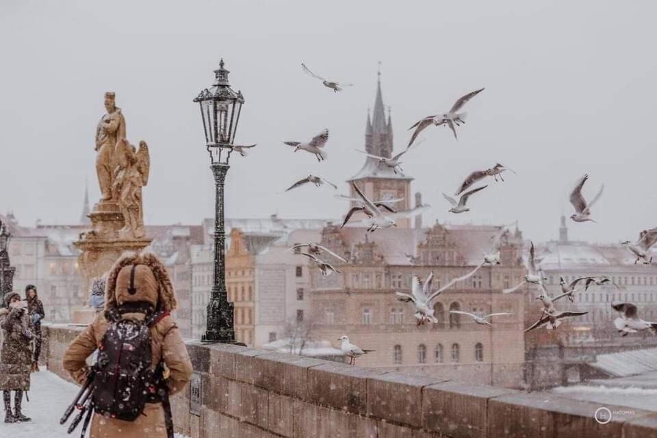 Lena * Prag