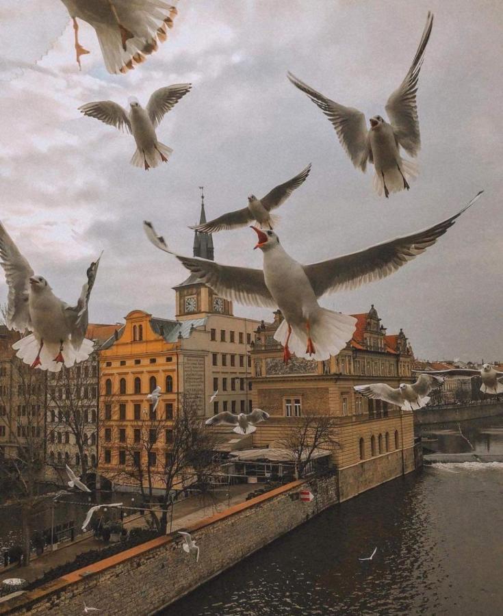 Lena * Prag