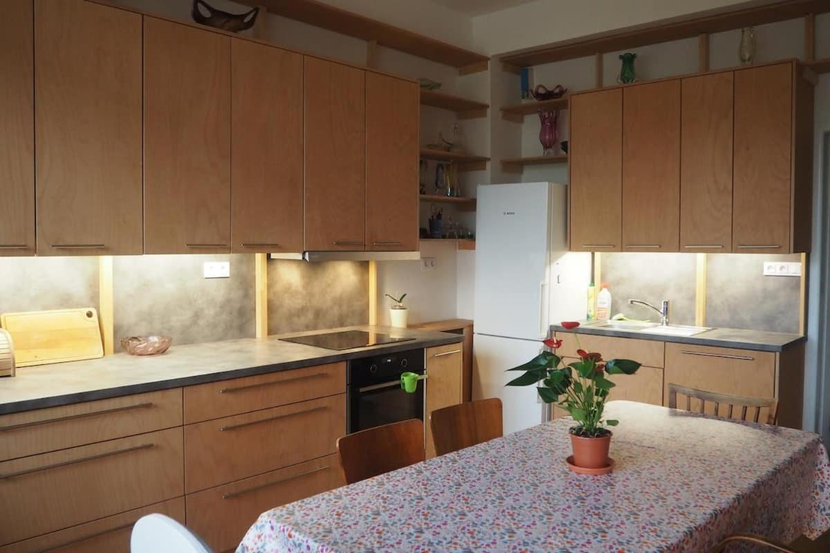 Apartment Rodinny V Centru Prahy