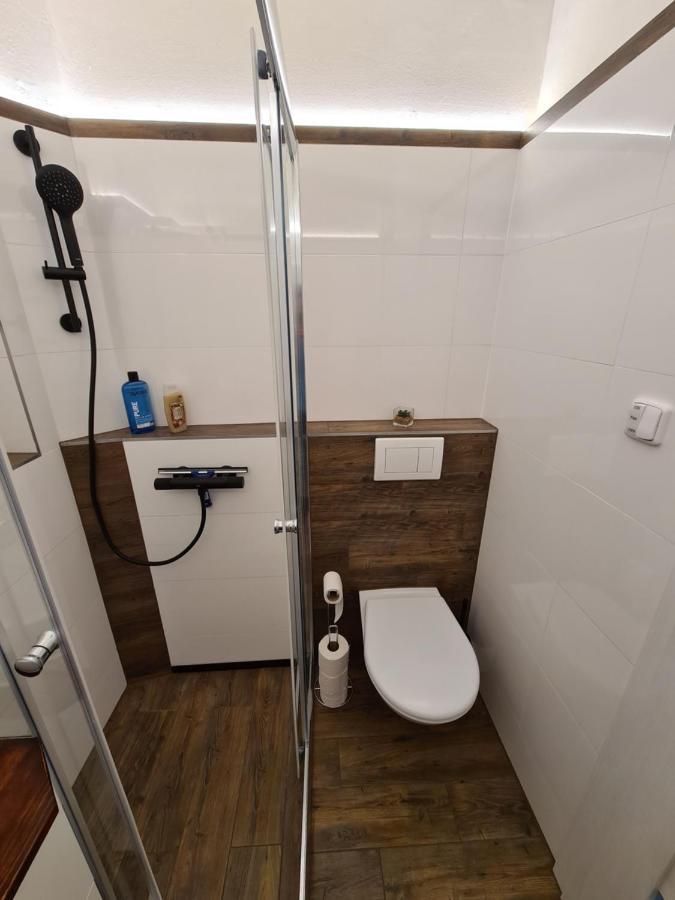 Světlý Prostorný Byt V Karlíně Apartmán