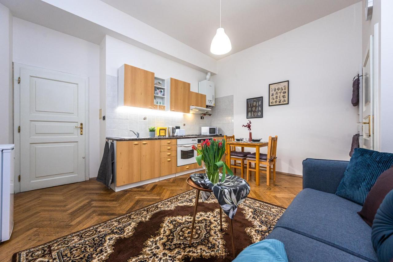 Apartment Tynska Ulicka *