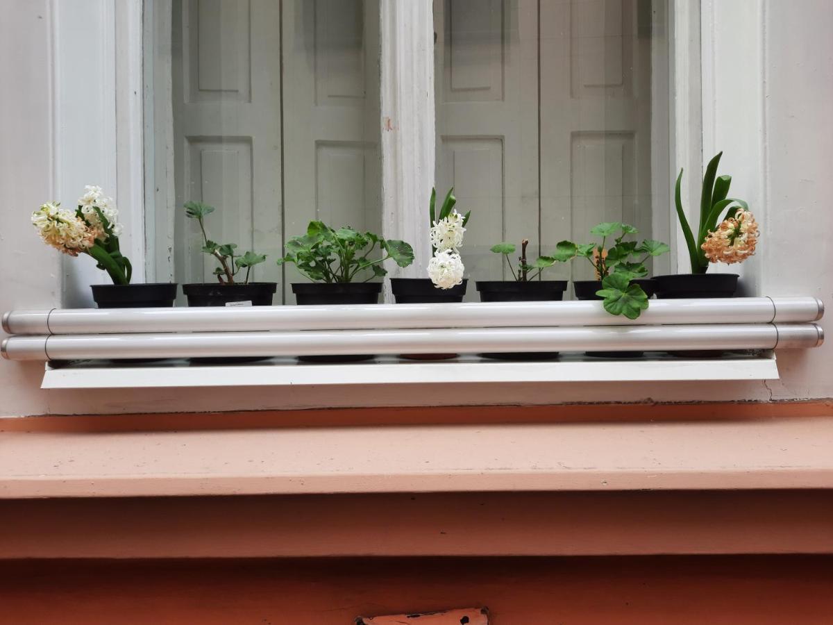 Downtown Minimalistic In Flatshare Prag