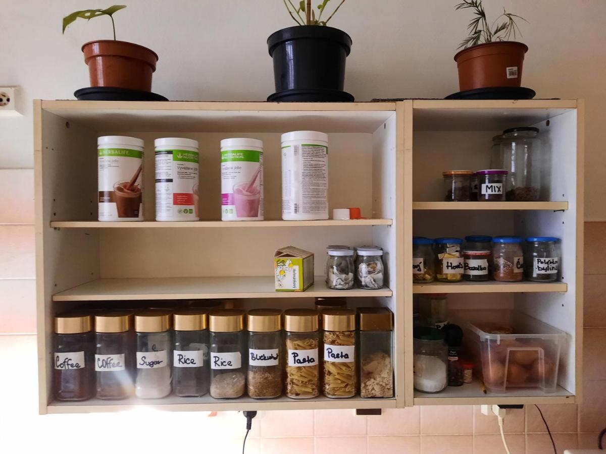 Downtown Minimalistic In Flatshare Privatunterkunft
