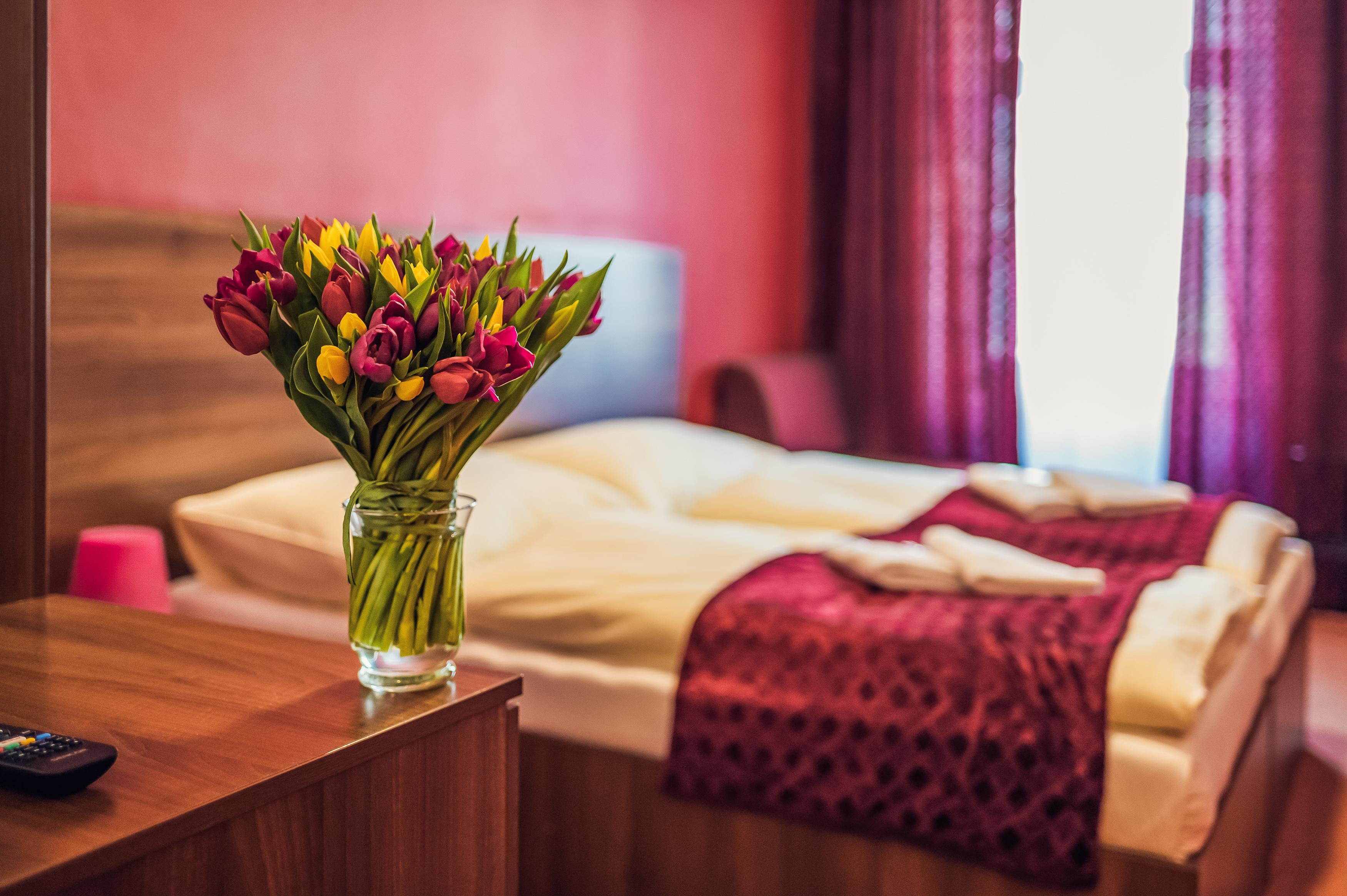 Czechia Hotell 3*