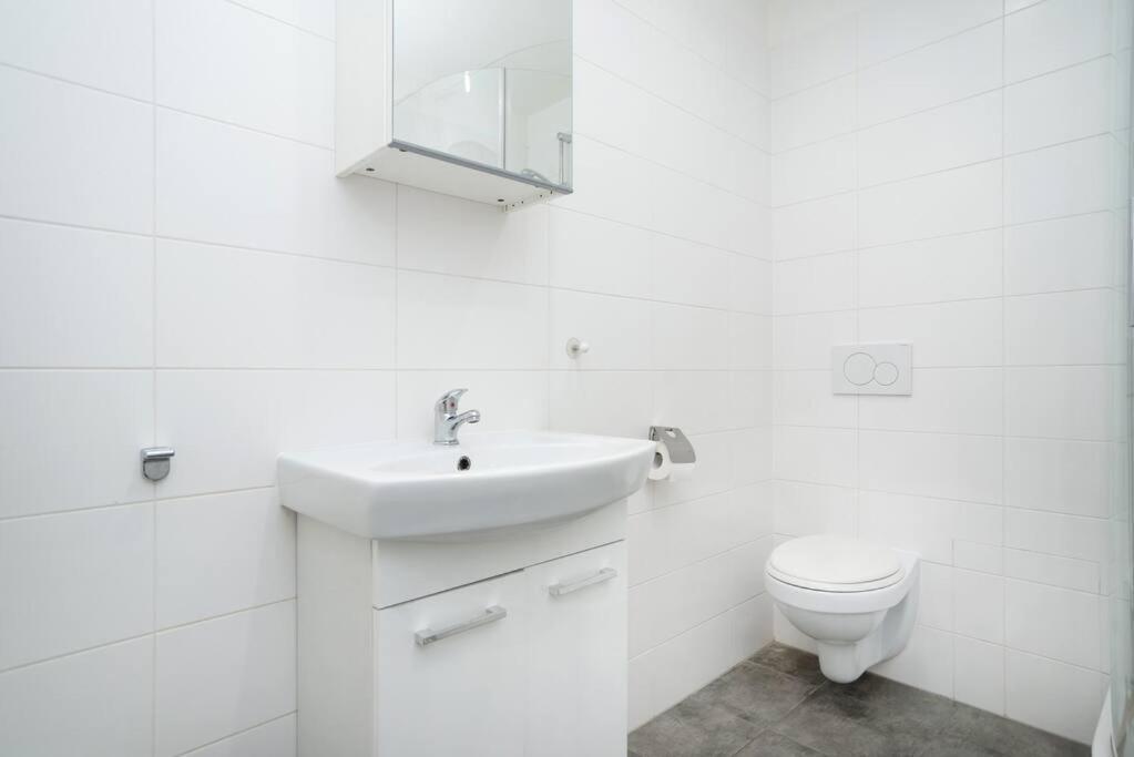 Bright, Spacious In The Historic Centre Apartment Prag