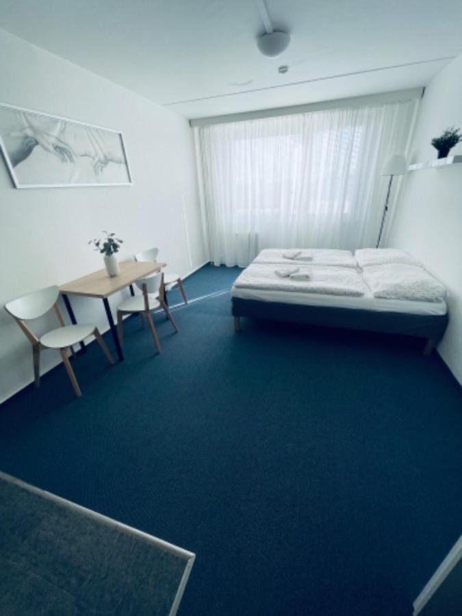 Bryksova Apartmán *