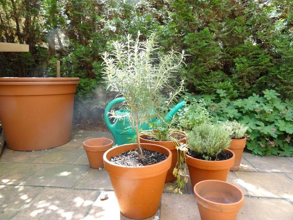 Apartmán Garden On Art Nouveau Street In *