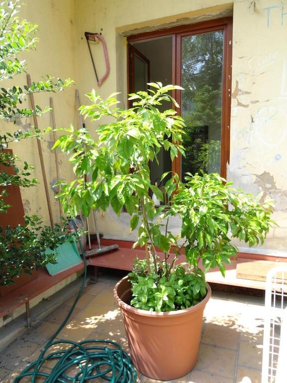 Apartmán Garden On Art Nouveau Street In Praha
