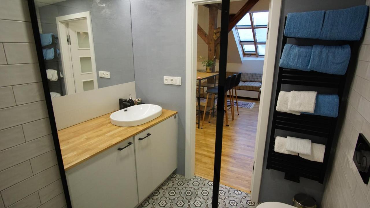 Apartment Rooftop No 22 - Center Art District Letna