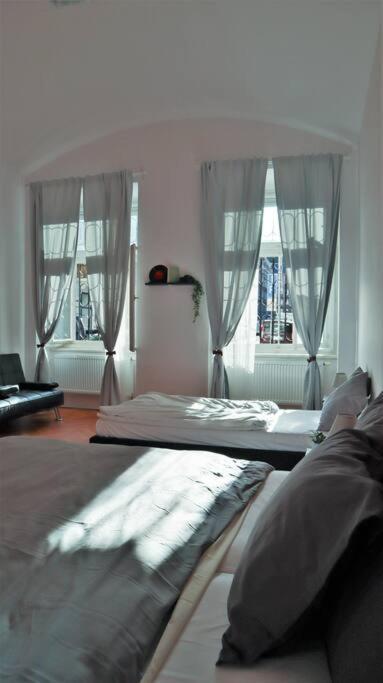 Modern In The Center Of Apartment Prag