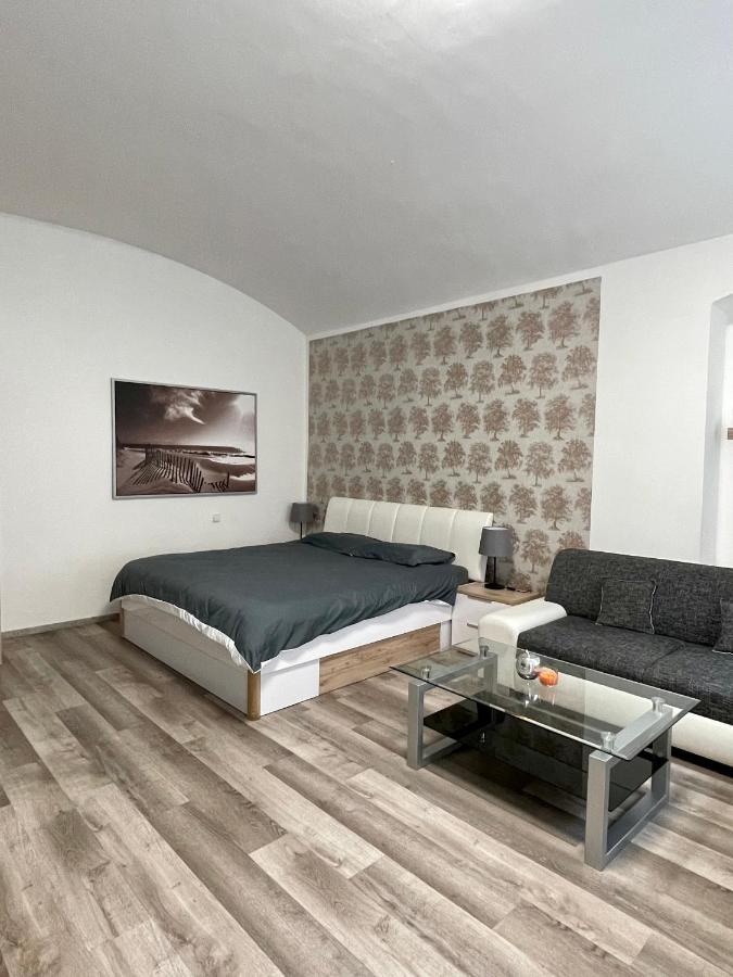 Apartment Wenceslas Square Two-floor *