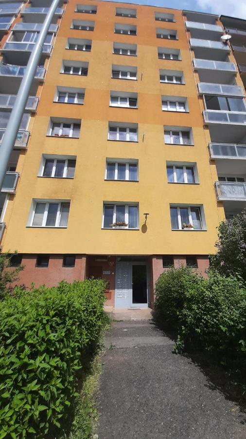 Kamyk Apartment *
