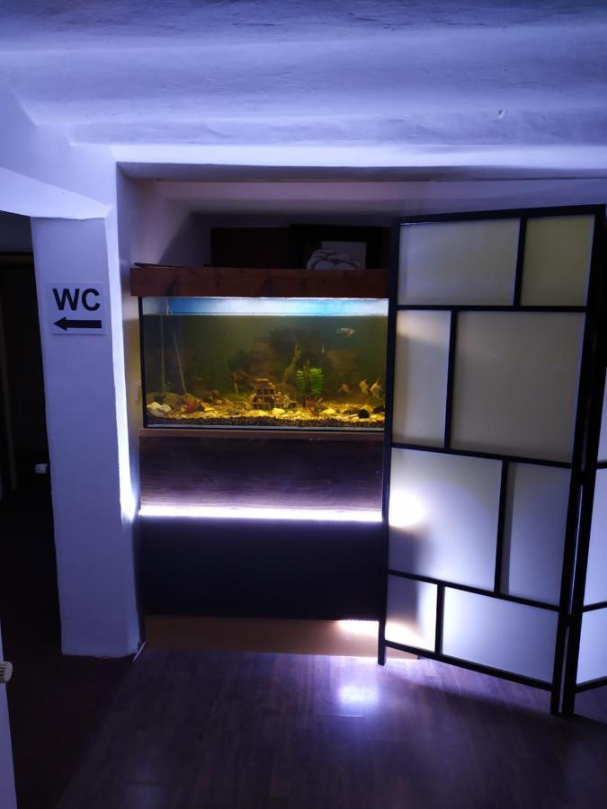 Apartment Skalka