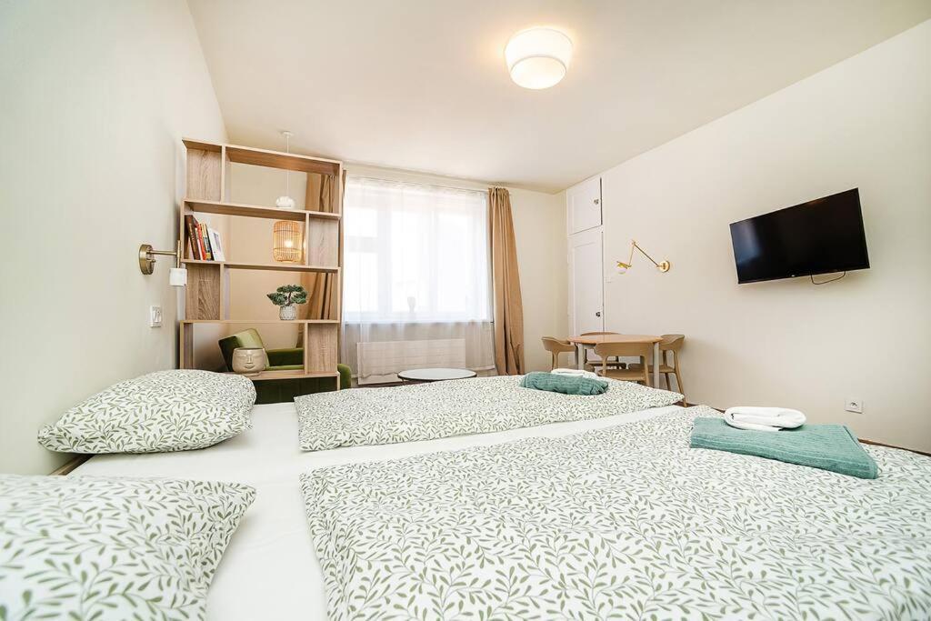 Modern With Balcony, Tv Prag