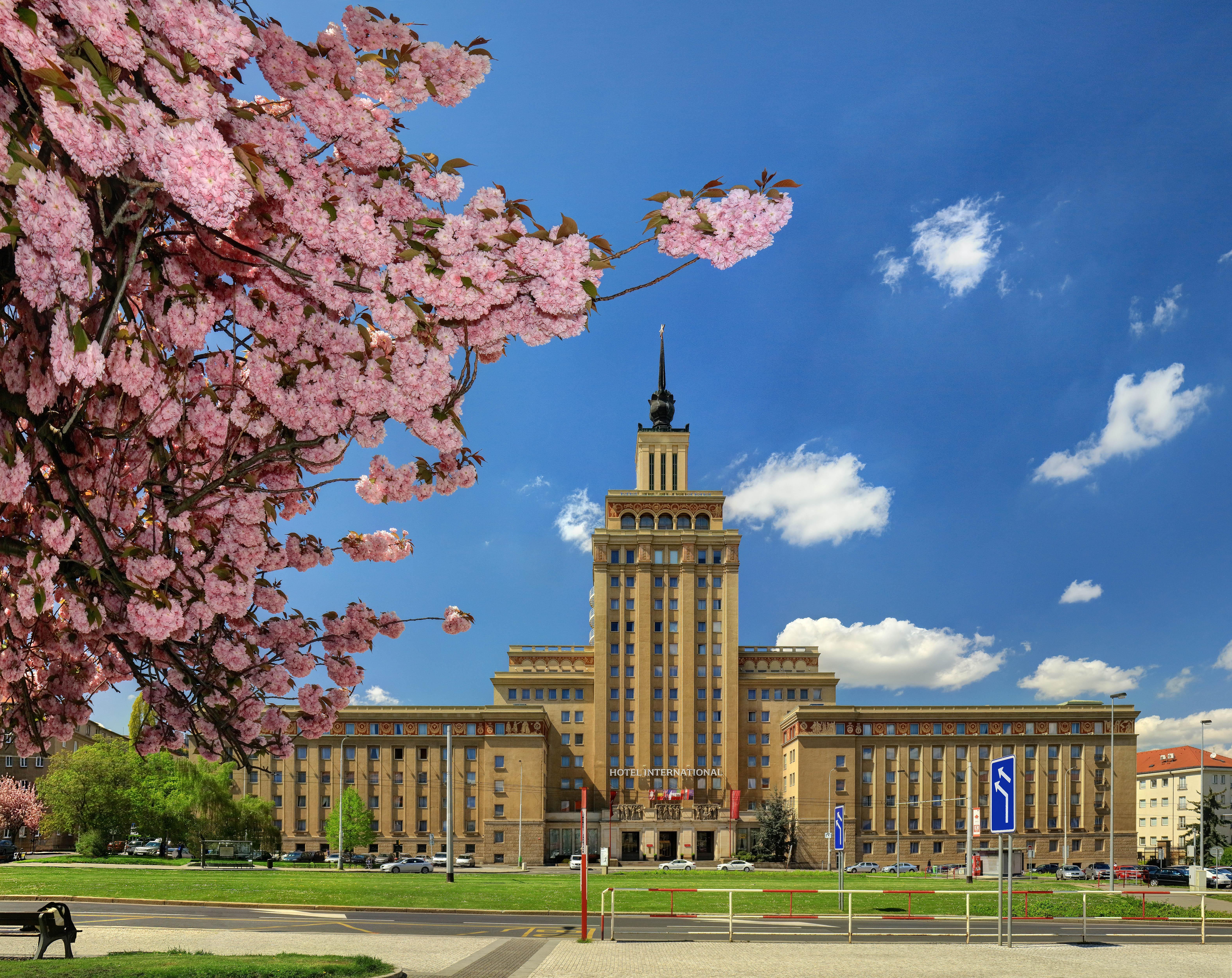 Grand International - Czech Leading
