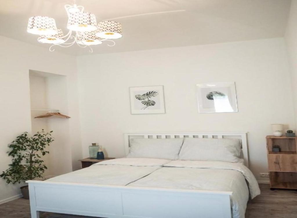 Gallys Lounge Apartment *