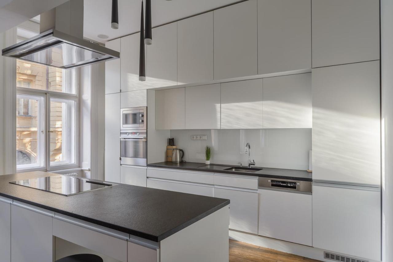 Apartment Spacious Near Wenceslas Square With Master Bed *