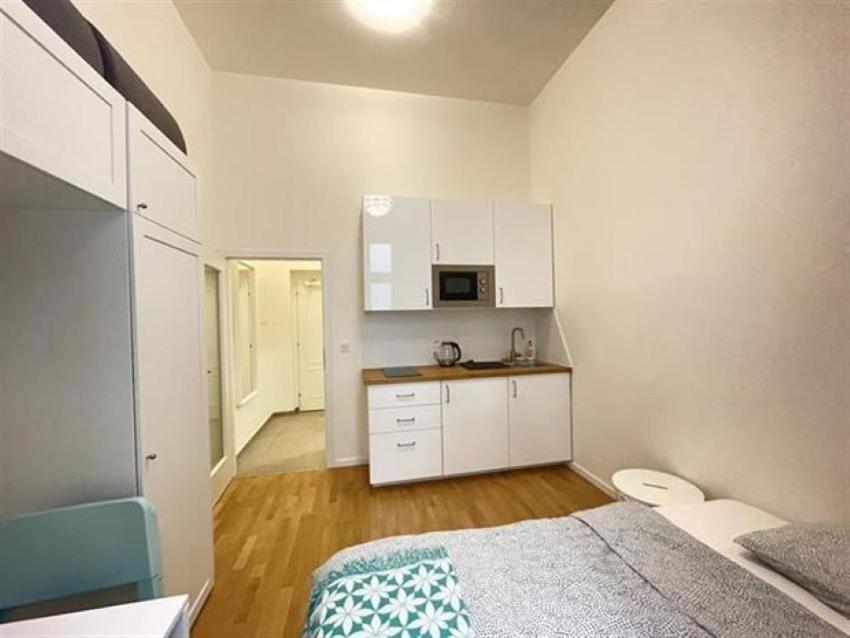 Cosy Small In 1 On Metro Muzeum Apartment Prague
