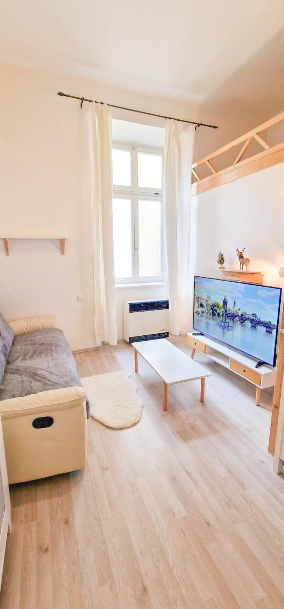 Apartment Cozy Karlin Loft Center