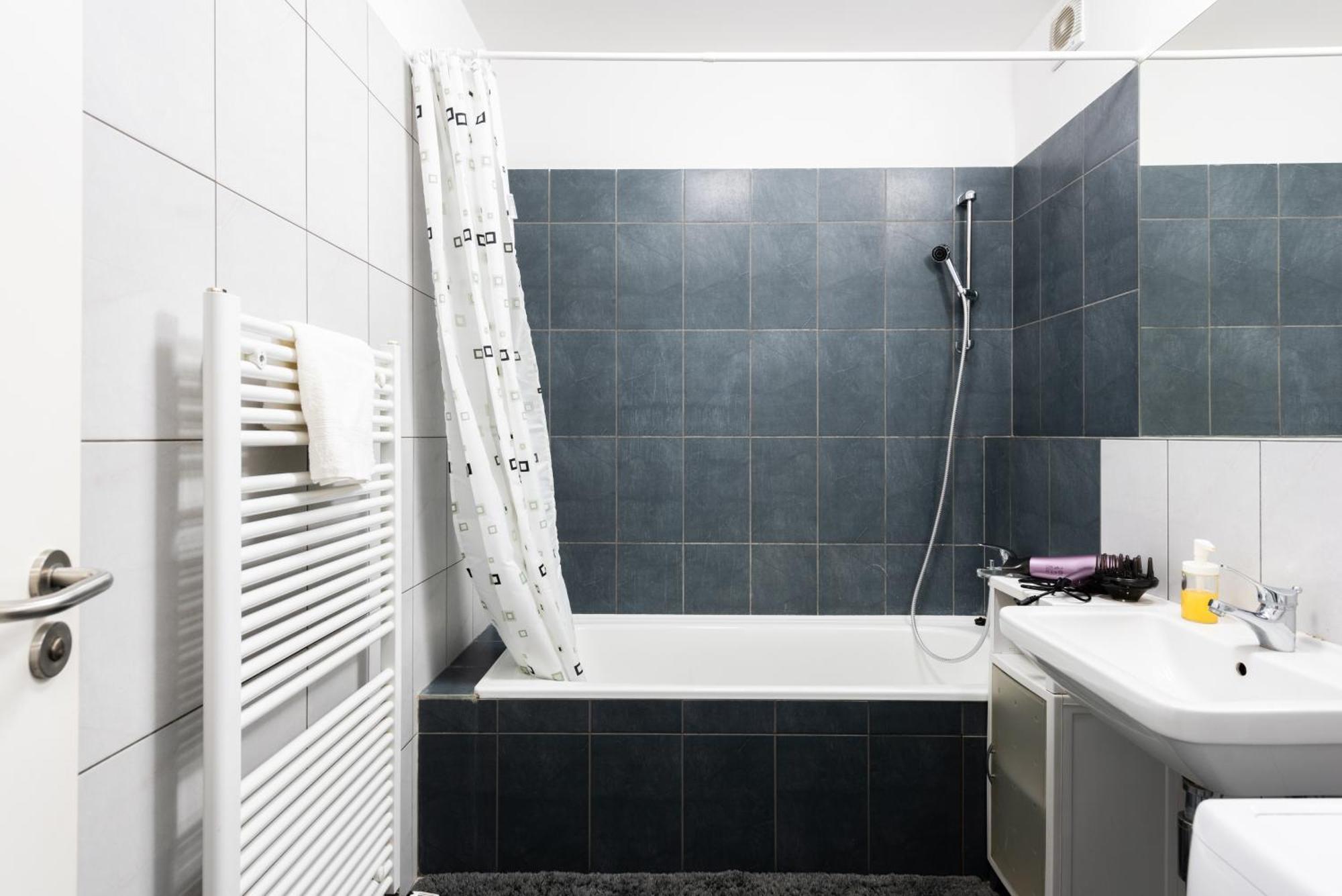 Spacious Near Karlin Square Prag