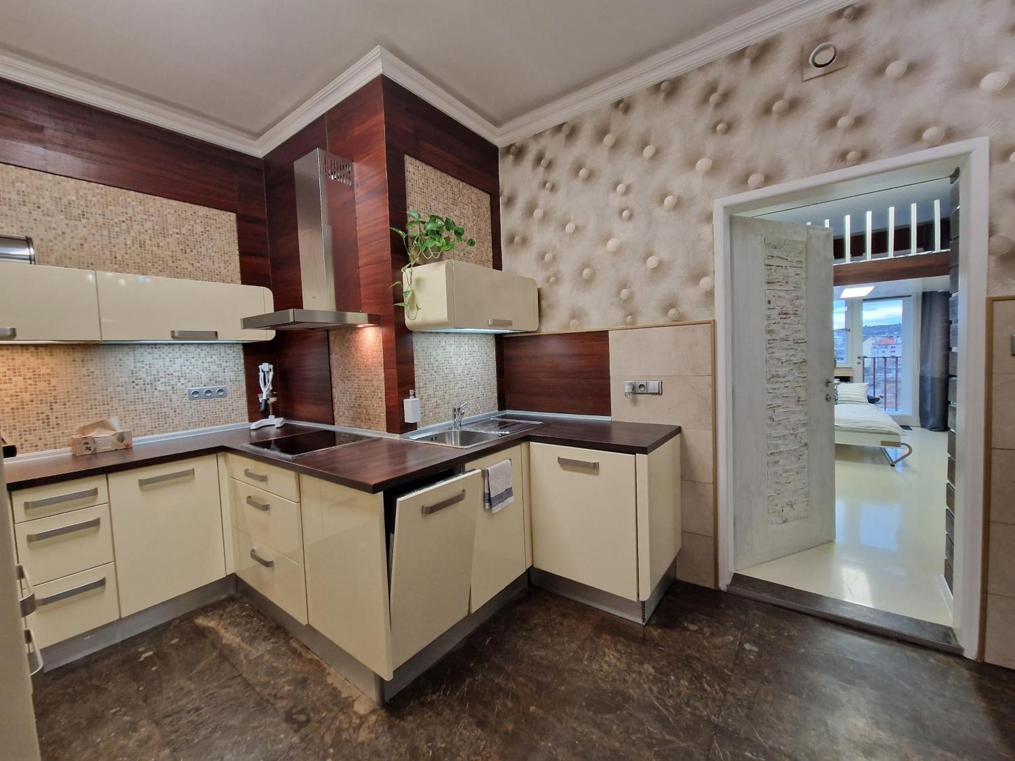 Quiet Spacious With A Balcony Prag
