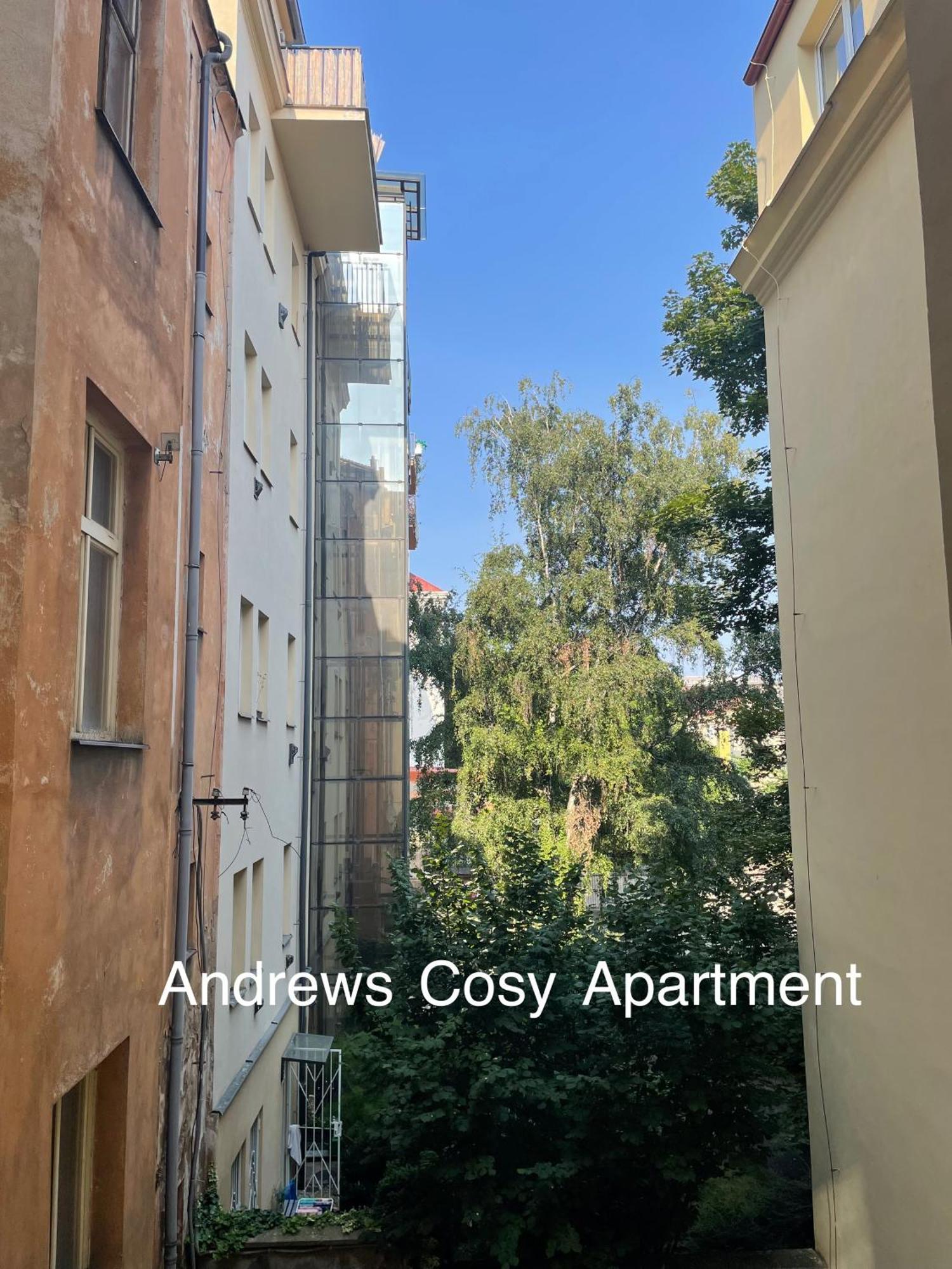 Andrews Cosy *