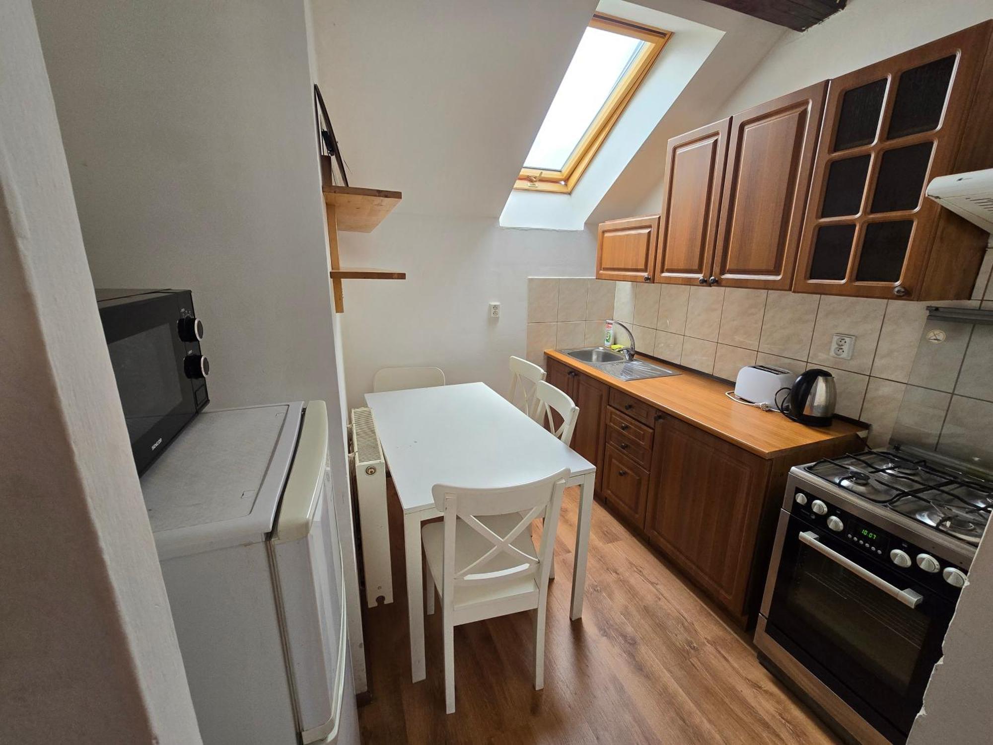 Apartment Zizkov A
