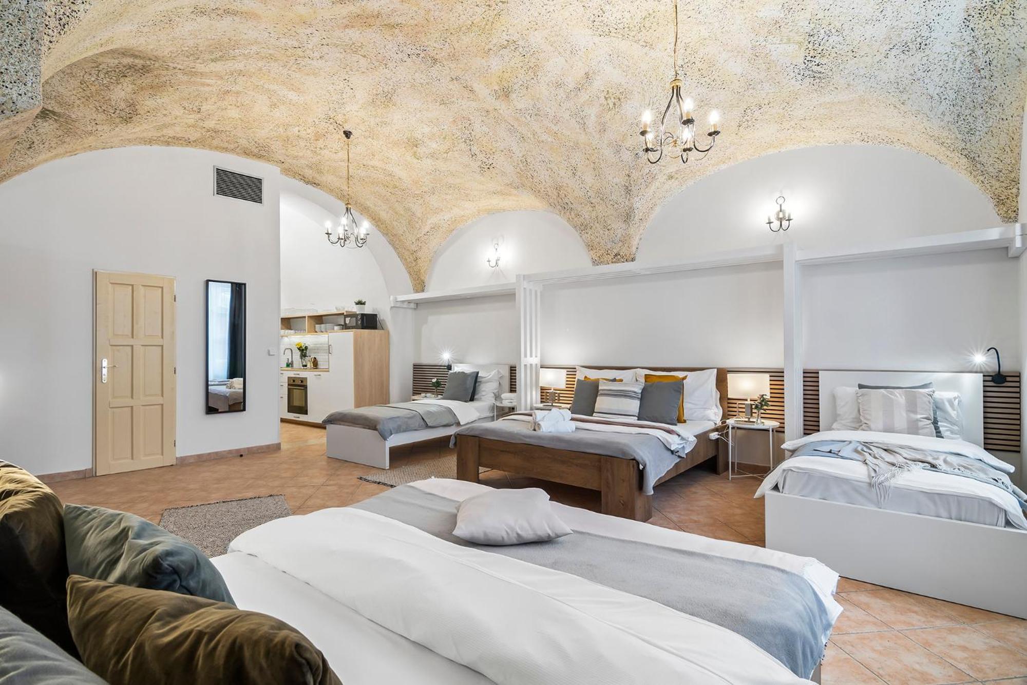 Apartment Charles Bridge Historical Apts By Michal&friends *