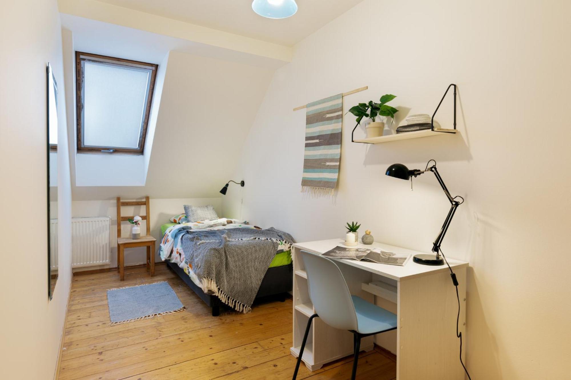 Apartment Slavikova Prague