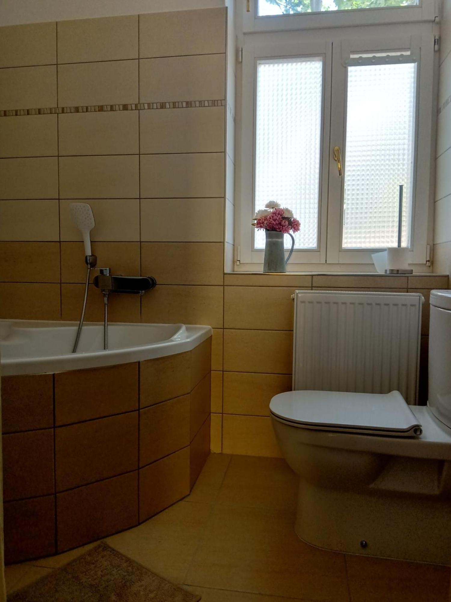 Apartment Historic Prag